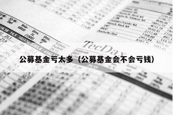 公募基金亏太多（公募基金会不会亏钱）