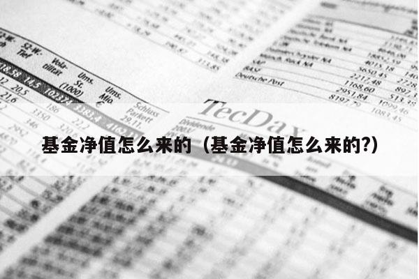 基金净值怎么来的（基金净值怎么来的?）