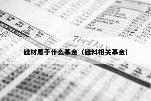 硅材属于什么基金（硅料相关基金）