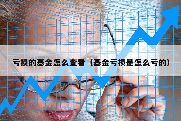 亏损的基金怎么查看（基金亏损是怎么亏的）