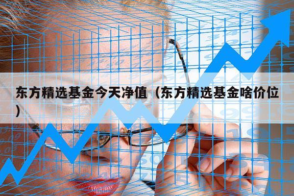 东方精选基金今天净值（东方精选基金啥价位）