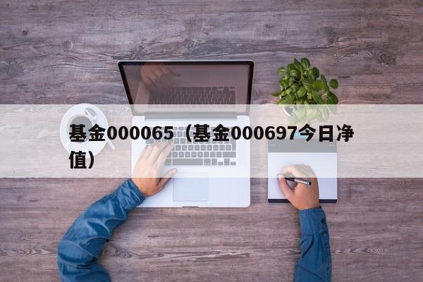 基金000065（基金000697今日净值）