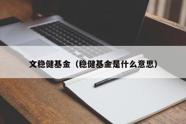 文稳健基金（稳健基金是什么意思）