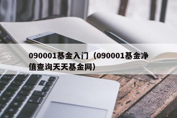 090001基金入门（090001基金净值查询天天基金网）