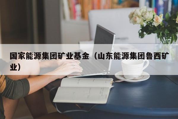 国家能源集团矿业基金（山东能源集团鲁西矿业）