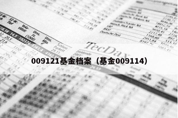 009121基金档案（基金009114）