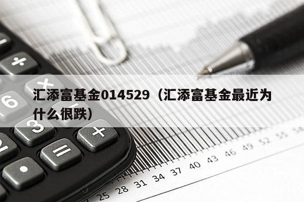 汇添富基金014529（汇添富基金最近为什么很跌）