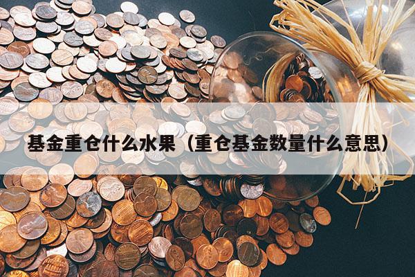 基金重仓什么水果（重仓基金数量什么意思）