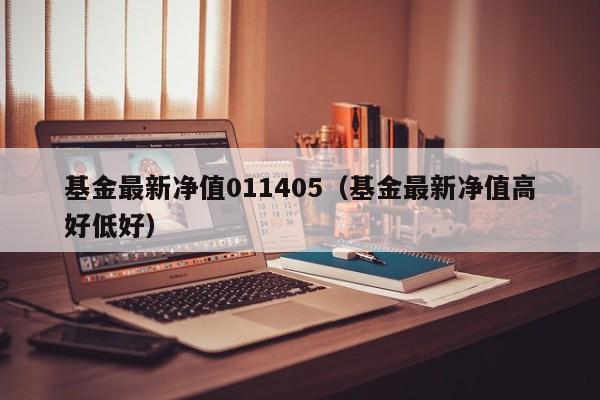 基金最新净值011405（基金最新净值高好低好）