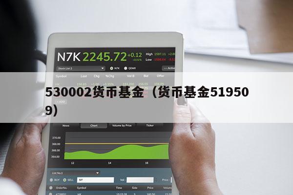 530002货币基金（货币基金519509）
