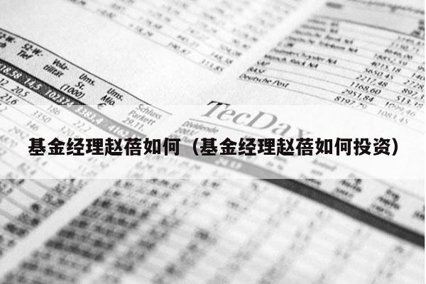 基金经理赵蓓如何（基金经理赵蓓如何投资）