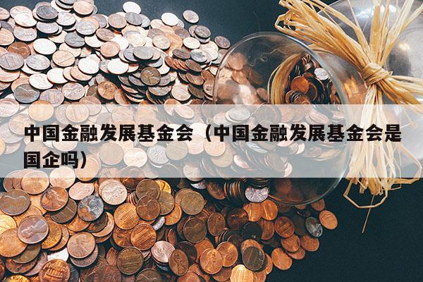 中国金融发展基金会（中国金融发展基金会是国企吗）