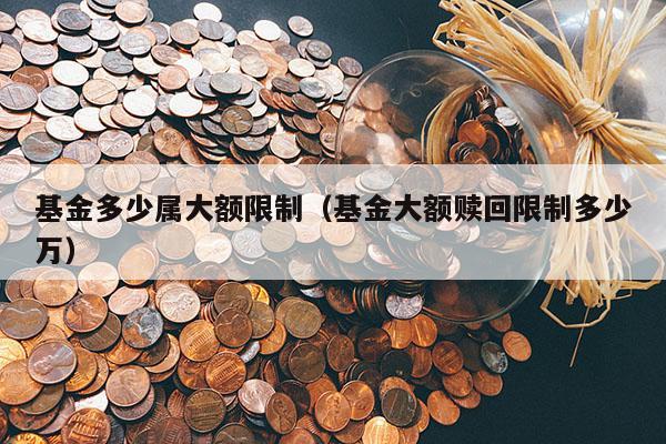基金多少属大额限制（基金大额赎回限制多少万）