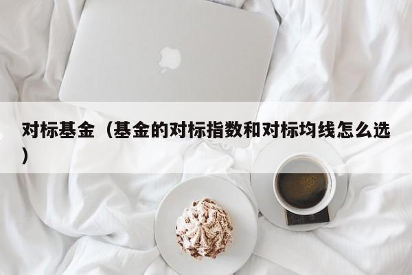 对标基金（基金的对标指数和对标均线怎么选）
