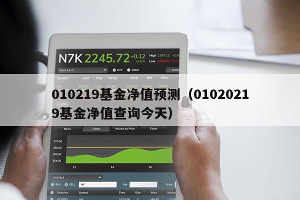 010219基金净值预测（01020219基金净值查询今天）