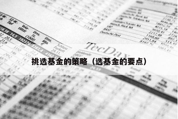 挑选基金的策略（选基金的要点）