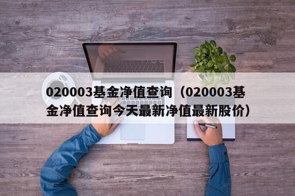 020003基金净值查询（020003基金净值查询今天最新净值最新股价）