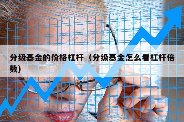 分级基金的价格杠杆（分级基金怎么看杠杆倍数）