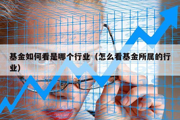 基金如何看是哪个行业（怎么看基金所属的行业）