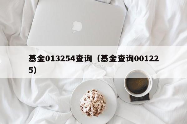 基金013254查询（基金查询001225）