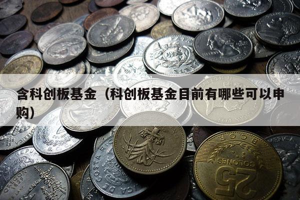 含科创板基金（科创板基金目前有哪些可以申购）
