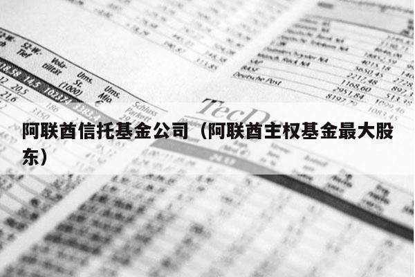 阿联酋信托基金公司（阿联酋主权基金最大股东）