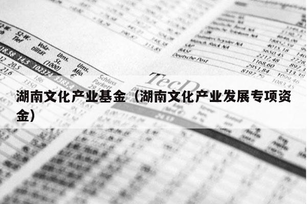 湖南文化产业基金（湖南文化产业发展专项资金）