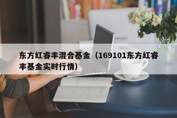 东方红睿丰混合基金（169101东方红睿丰基金实时行情）