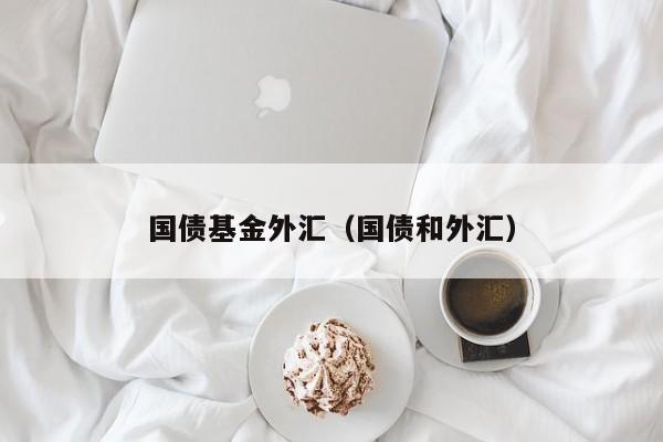 国债基金外汇（国债和外汇）