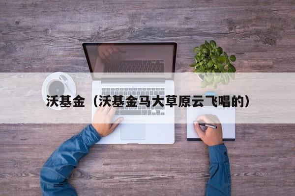 沃基金（沃基金马大草原云飞唱的）