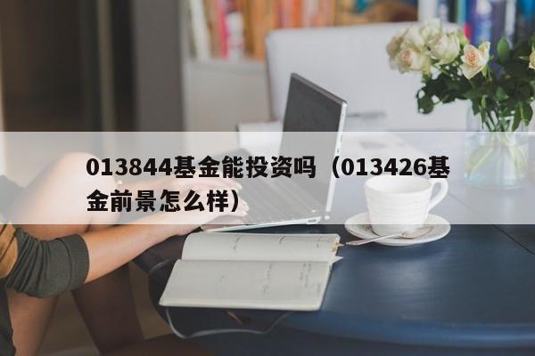 013844基金能投资吗（013426基金前景怎么样）