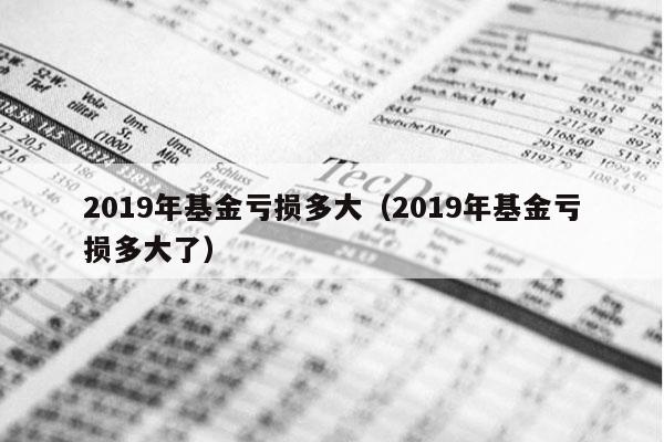 2019年基金亏损多大（2019年基金亏损多大了）