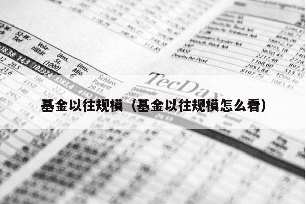 基金以往规模（基金以往规模怎么看）