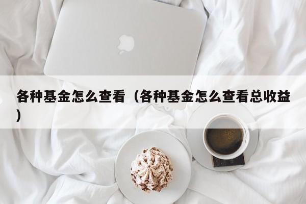 各种基金怎么查看（各种基金怎么查看总收益）