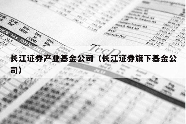 长江证券产业基金公司（长江证券旗下基金公司）