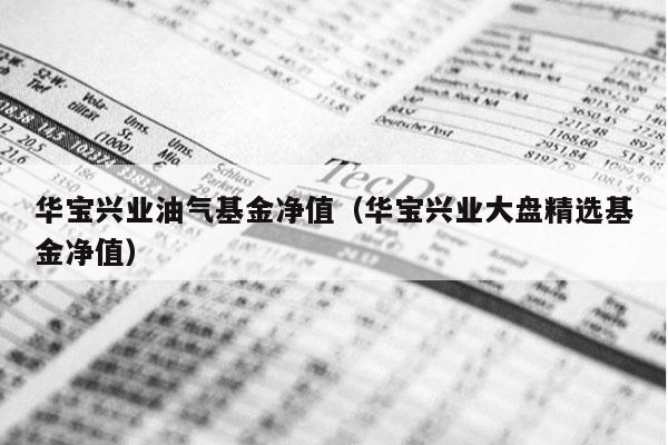 华宝兴业油气基金净值（华宝兴业大盘精选基金净值）
