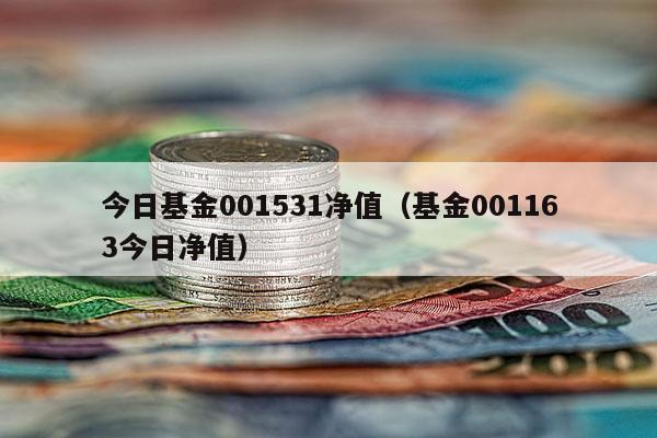 今日基金001531净值（基金001163今日净值）