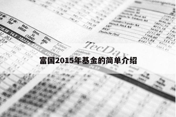 富国2015年基金的简单介绍