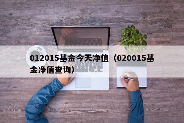 012015基金今天净值（020015基金净值查询）