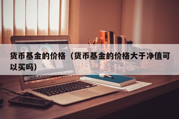 货币基金的价格（货币基金的价格大于净值可以买吗）