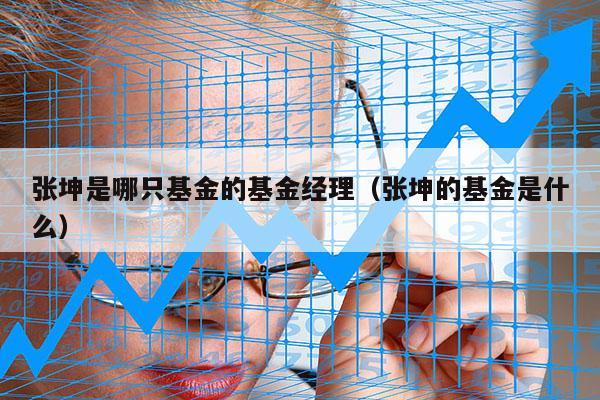 张坤是哪只基金的基金经理（张坤的基金是什么）