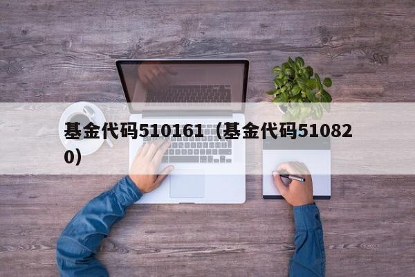 基金代码510161（基金代码510820）