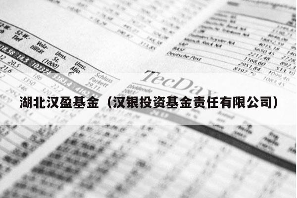 湖北汉盈基金（汉银投资基金责任有限公司）