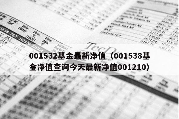 001532基金最新净值（001538基金净值查询今天最新净值001210）