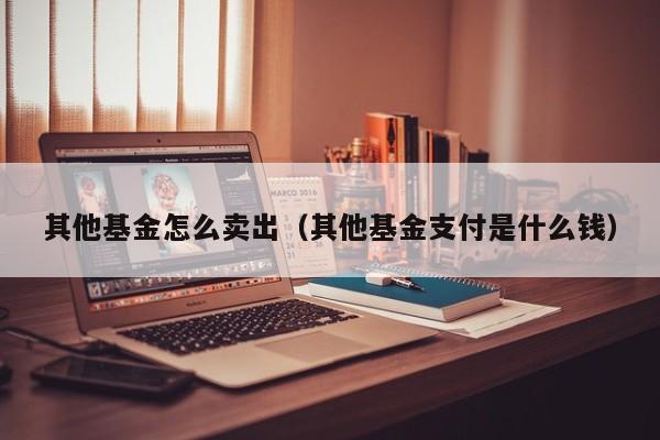 其他基金怎么卖出（其他基金支付是什么钱）