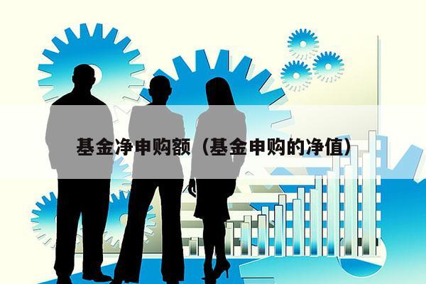 基金净申购额（基金申购的净值）