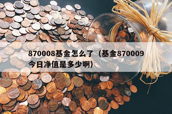 870008基金怎么了（基金870009今日净值是多少啊）