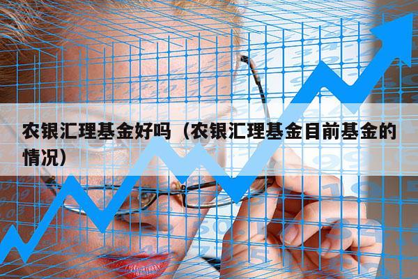 农银汇理基金好吗（农银汇理基金目前基金的情况）