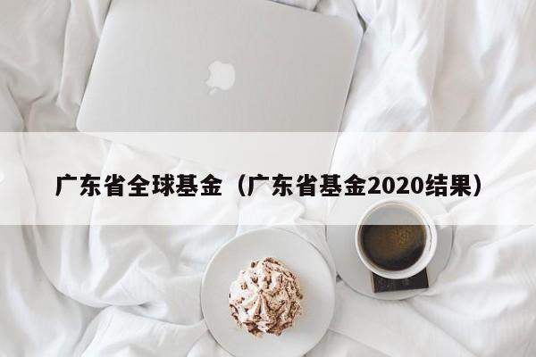 广东省全球基金（广东省基金2020结果）