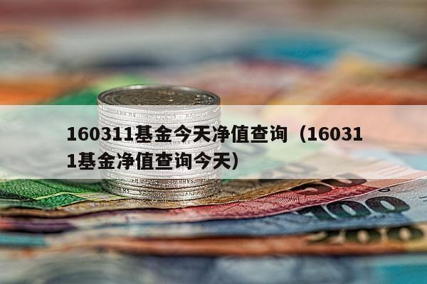160311基金今天净值查询（160311基金净值查询今天）